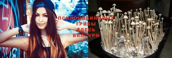 PSILOCYBIN Абдулино