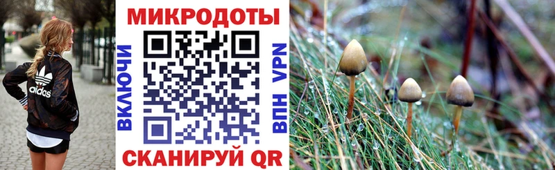 Псилоцибиновые грибы Psilocybe  Уфа 